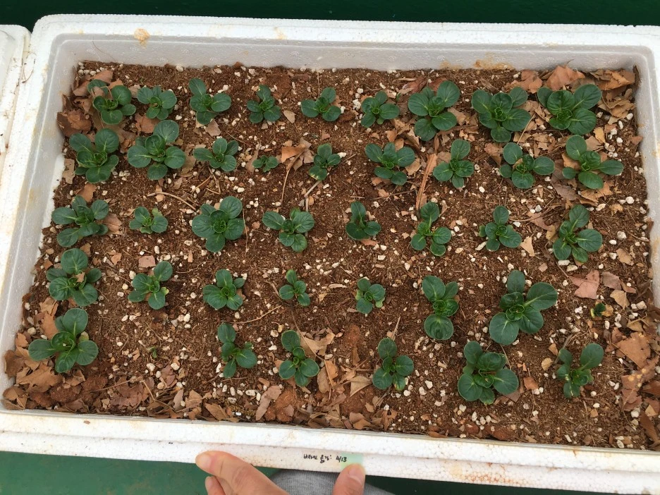 20210427_1103.JPG?type=w1