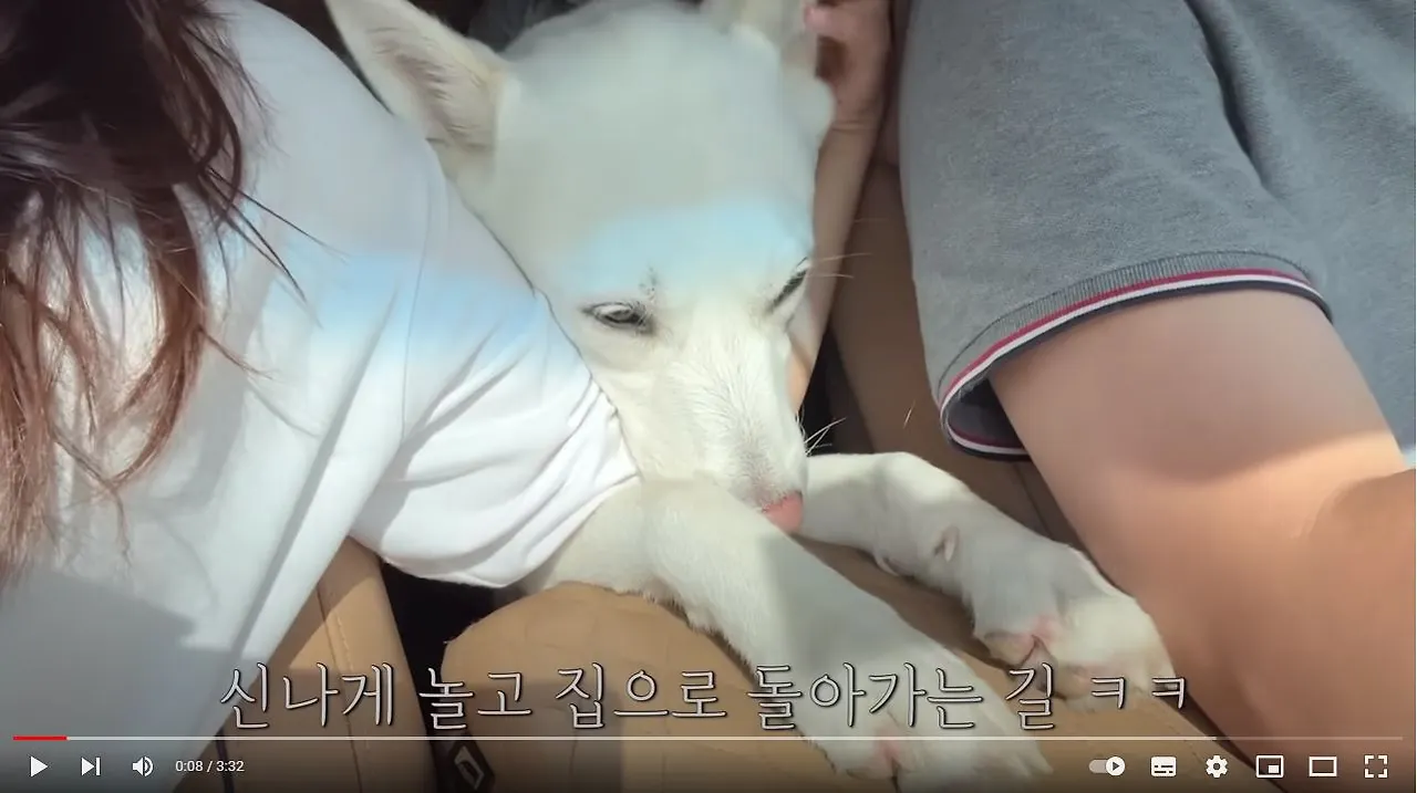 유튜브 풍이 캡쳐.JPG