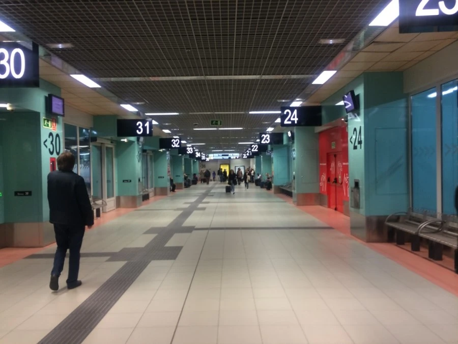 IMG_6478.jpg?type=w1