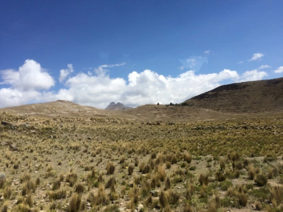 IMG_7668.jpg?type=w1