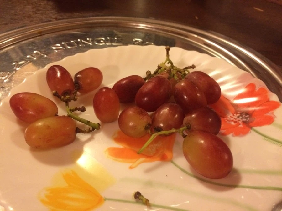 IMG_3333.jpg?type=w1