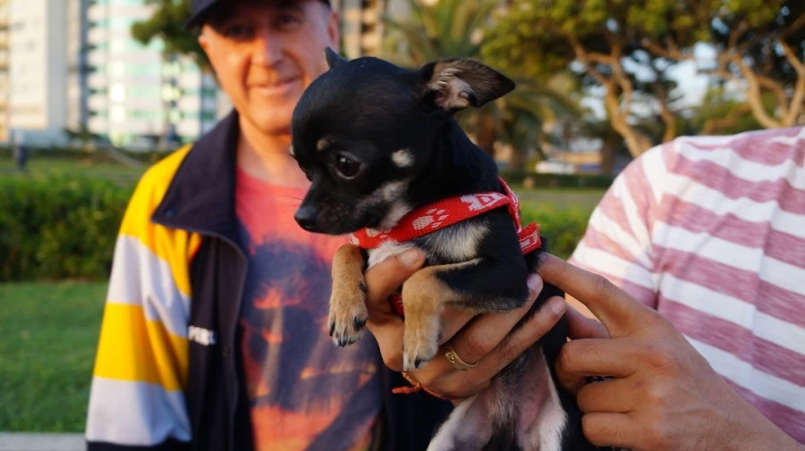 DSC00128.jpg?type=w1