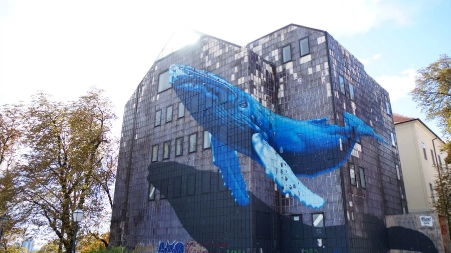 DSC05560.jpg?type=w1