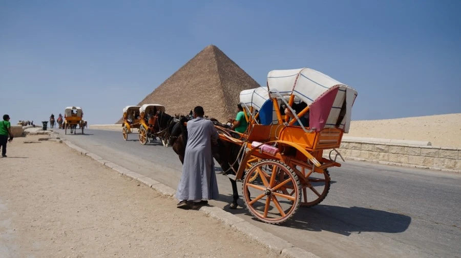 DSC04558.jpg?type=w1