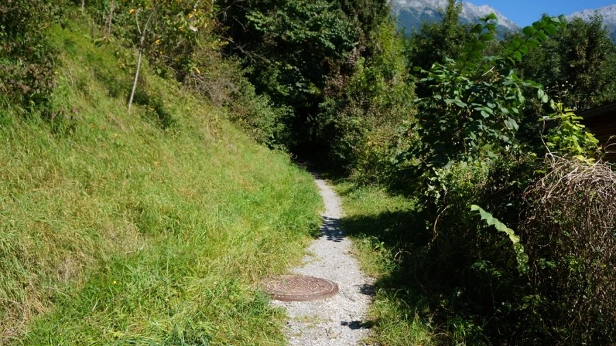 DSC04793.jpg?type=w1