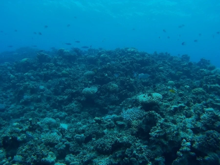 IMG_3008.jpg?type=w1