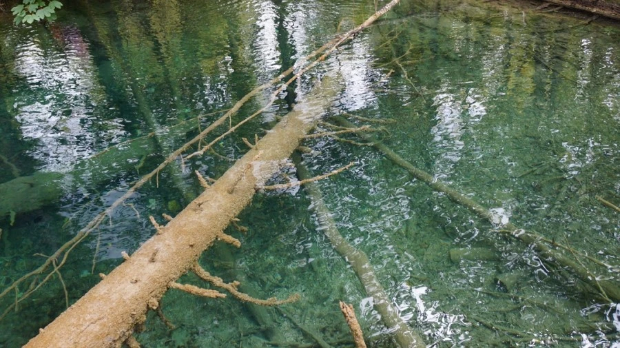 DSC05768.jpg?type=w1