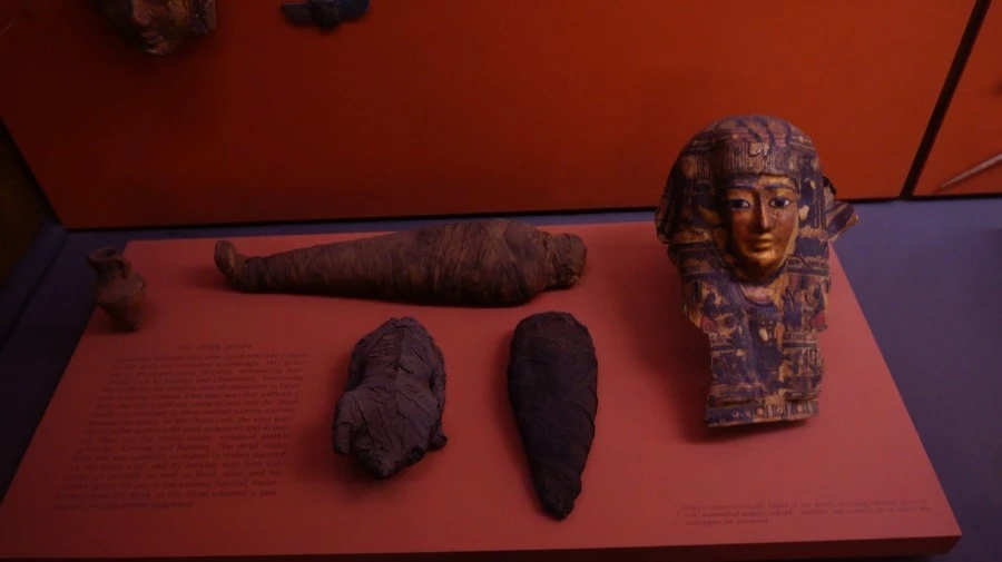 DSC04346.jpg?type=w1