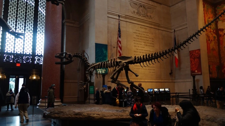 DSC04338.jpg?type=w1