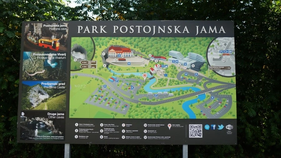 DSC06206.jpg?type=w1