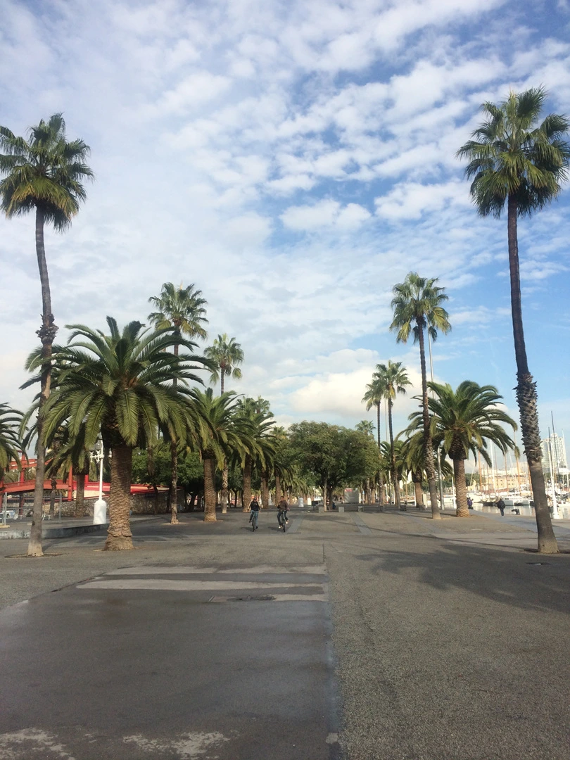 IMG_6693.jpg?type=w1