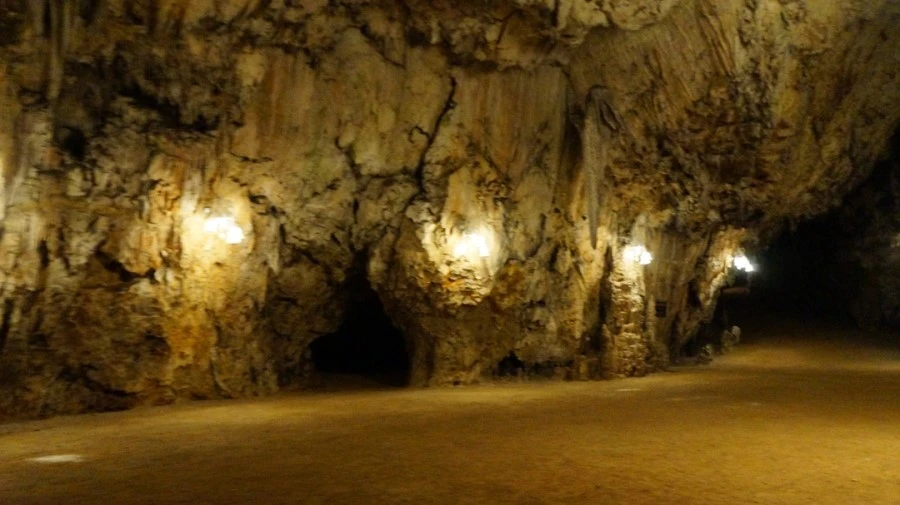 DSC06531.jpg?type=w1