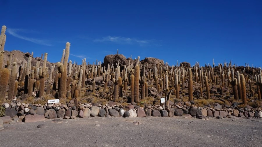 DSC01239%E3%85%A1.jpg?type=w1