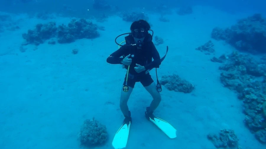 2016_0828_114840_010A.MOV.%BD%BA%C6%BF003.jpg?type=w1