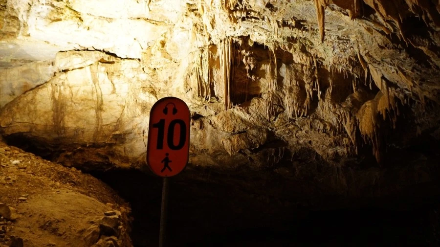 DSC06419.jpg?type=w1