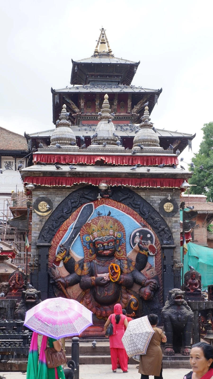 DSC00759.JPG?type=w1