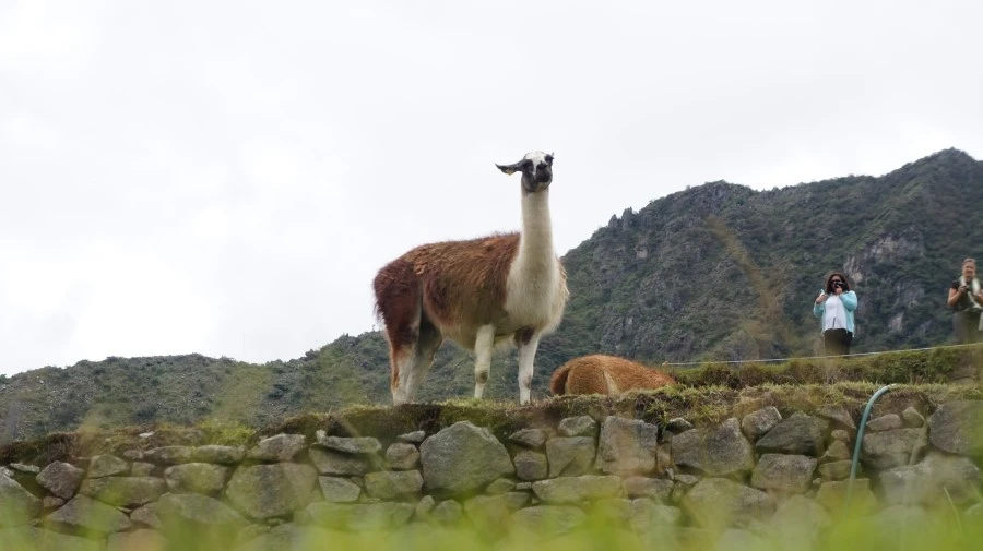 DSC01466.jpg?type=w1