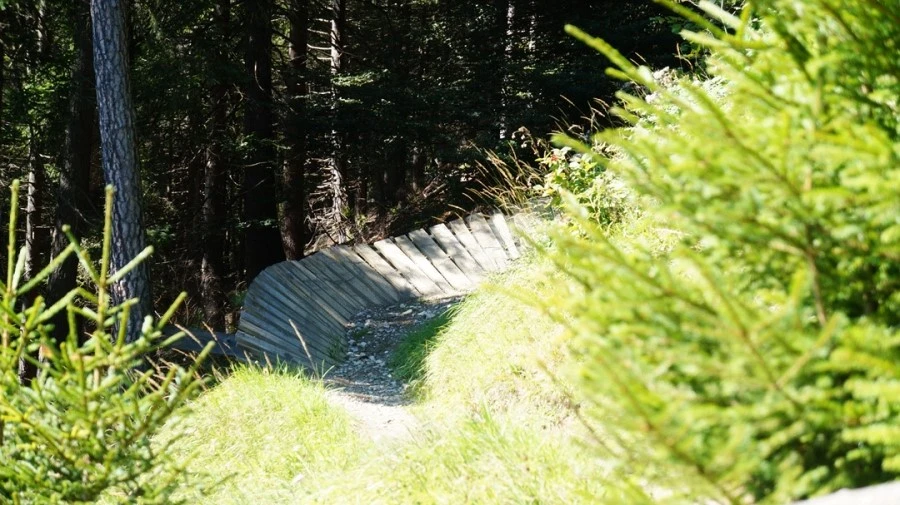 DSC04815.jpg?type=w1