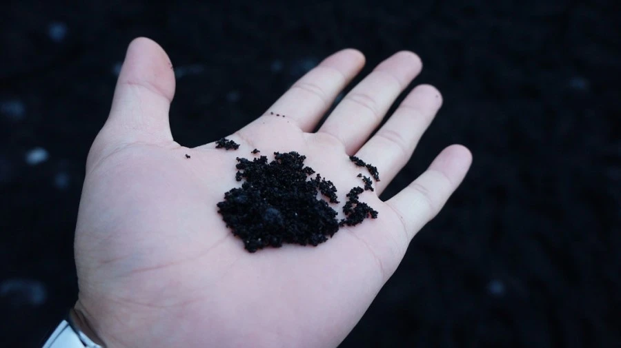 DSC08371.jpg?type=w1