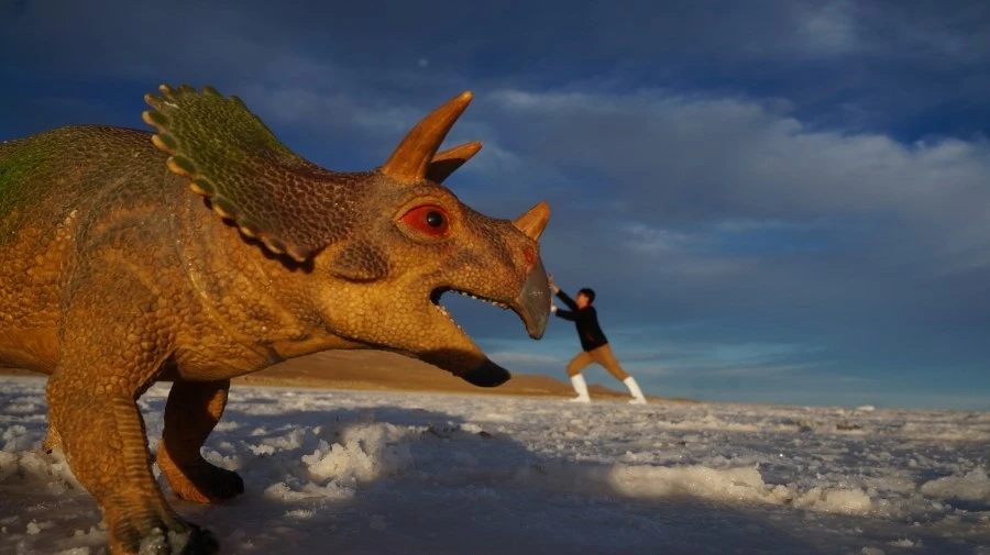 DSC01251%E3%85%A1.jpg?type=w1