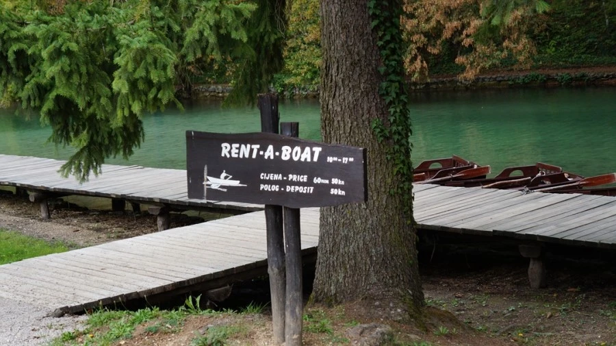 DSC05895.jpg?type=w1