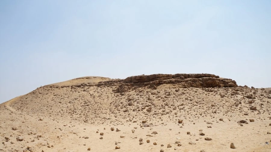 DSC04460.jpg?type=w1