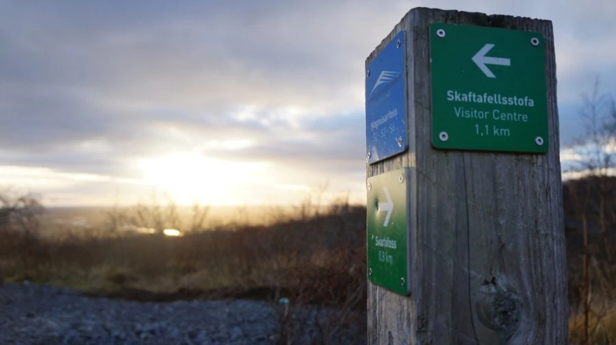 DSC08981.jpg?type=w1