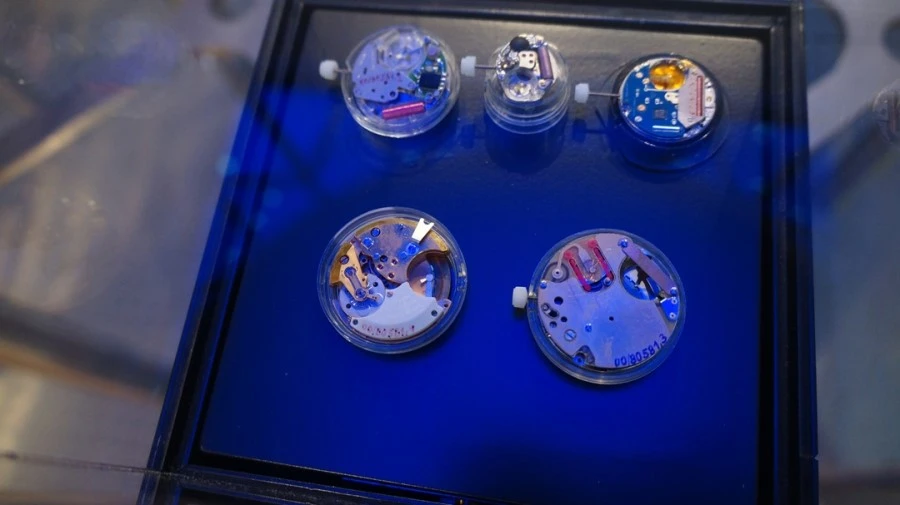 DSC05066.jpg?type=w1