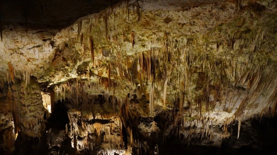 DSC06304.jpg?type=w1