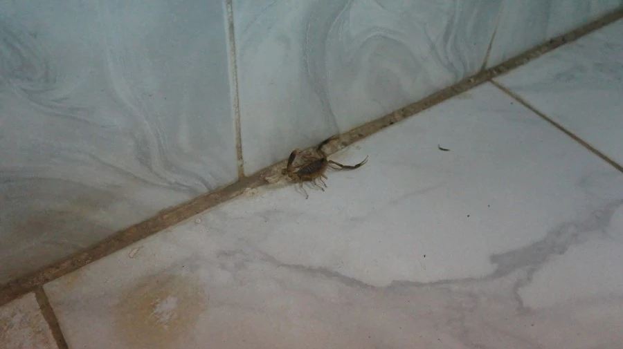 DSC03997.jpg?type=w1