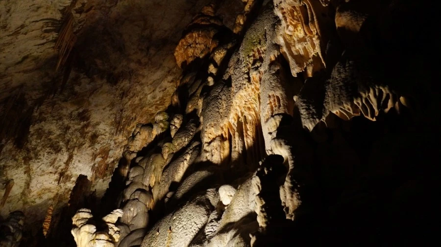 DSC06301.jpg?type=w1