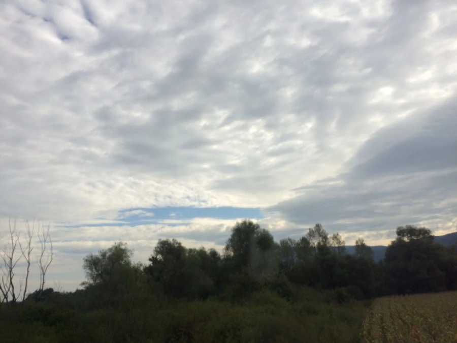 IMG_4217.jpg?type=w1