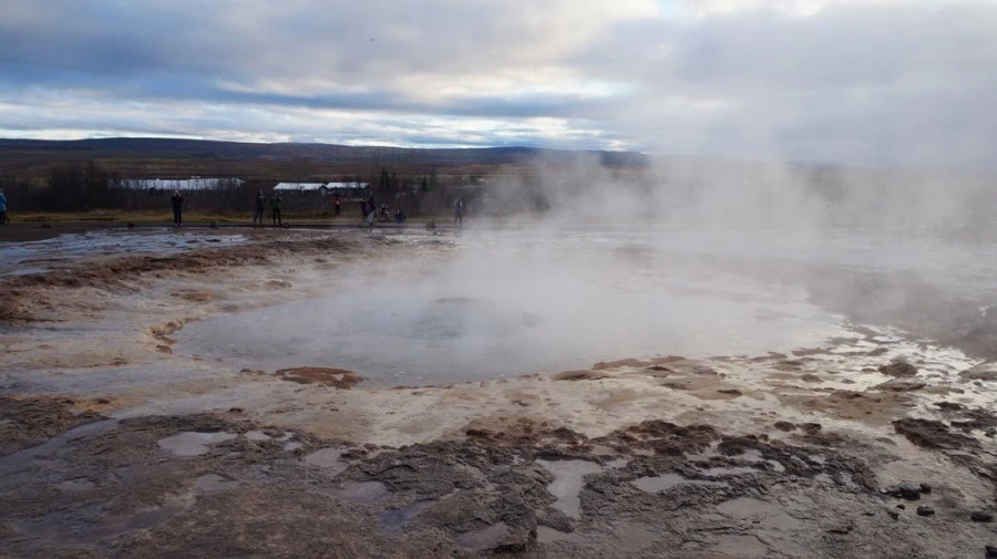 DSC07779.jpg?type=w1