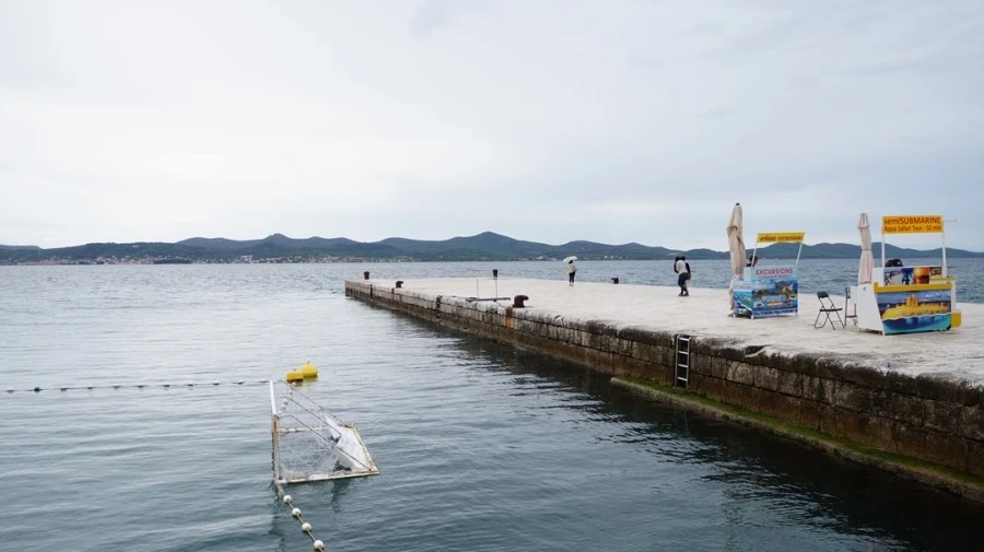 DSC06111.jpg?type=w1