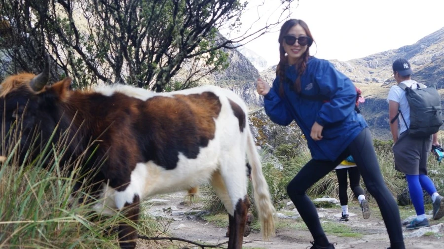 DSC01586.jpg?type=w1