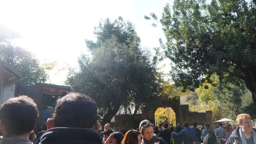 DSC09397.jpg?type=w1