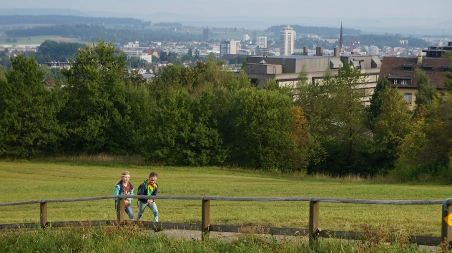 DSC04594.jpg?type=w1