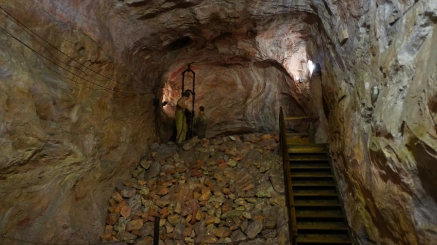 DSC05031.jpg?type=w1