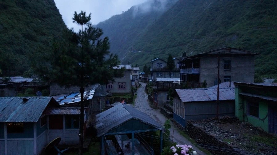 DSC01093%A4%BB.jpg?type=w1