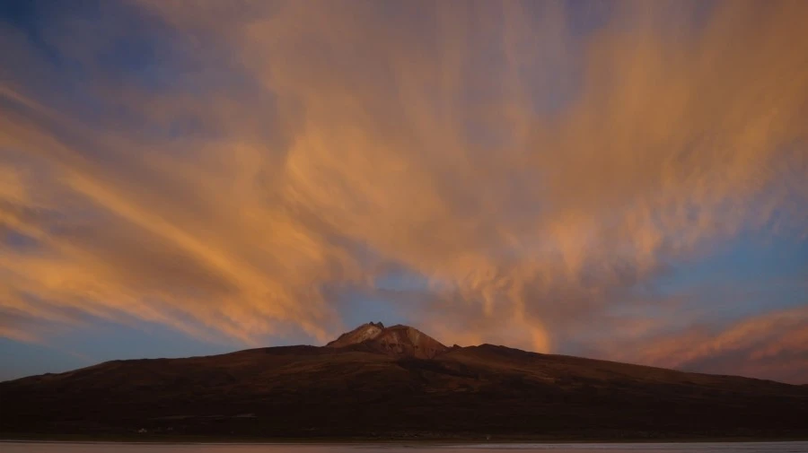 DSC01311.jpg?type=w1