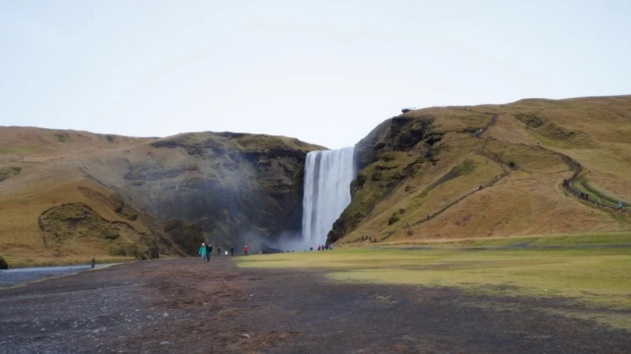 DSC08126.jpg?type=w1