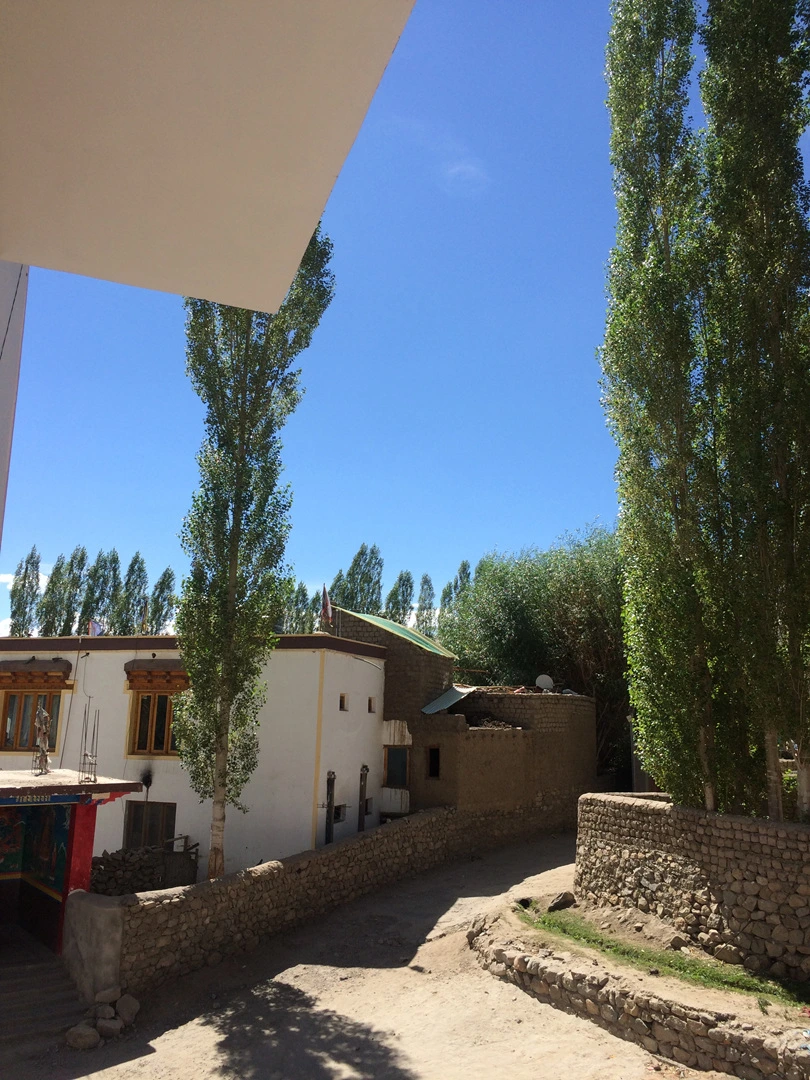 IMG_2086.jpg?type=w1