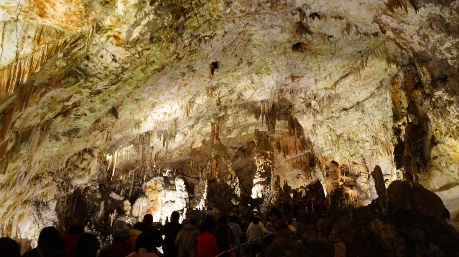 DSC06246.jpg?type=w1