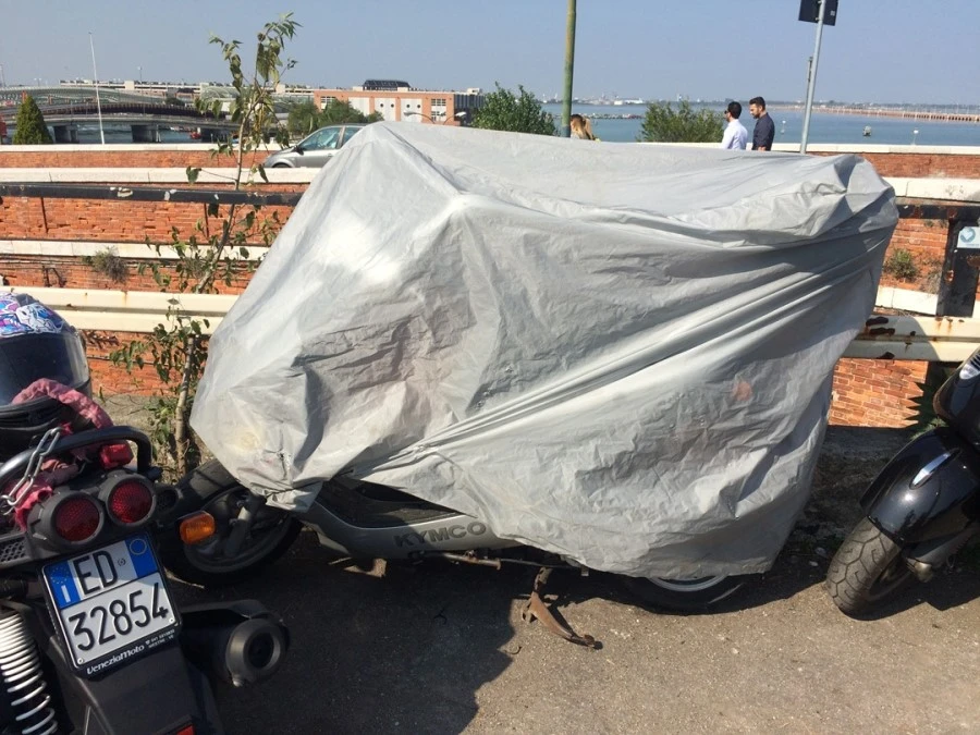 IMG_4443.jpg?type=w1