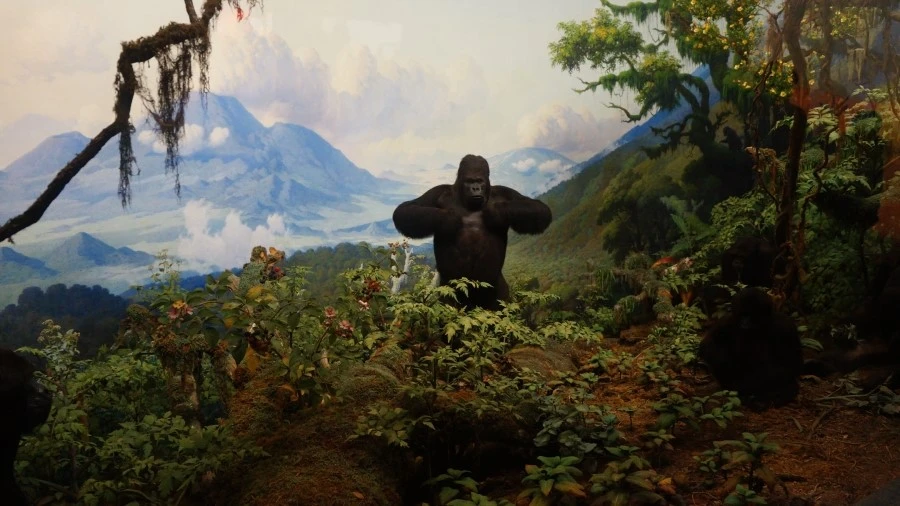 DSC04345.jpg?type=w1