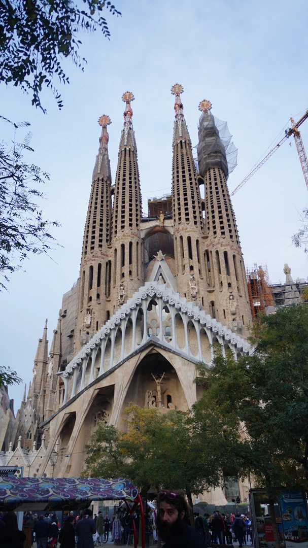 DSC09641.jpg?type=w1