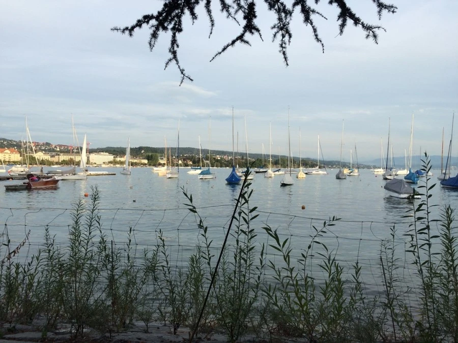 IMG_3422.jpg?type=w1