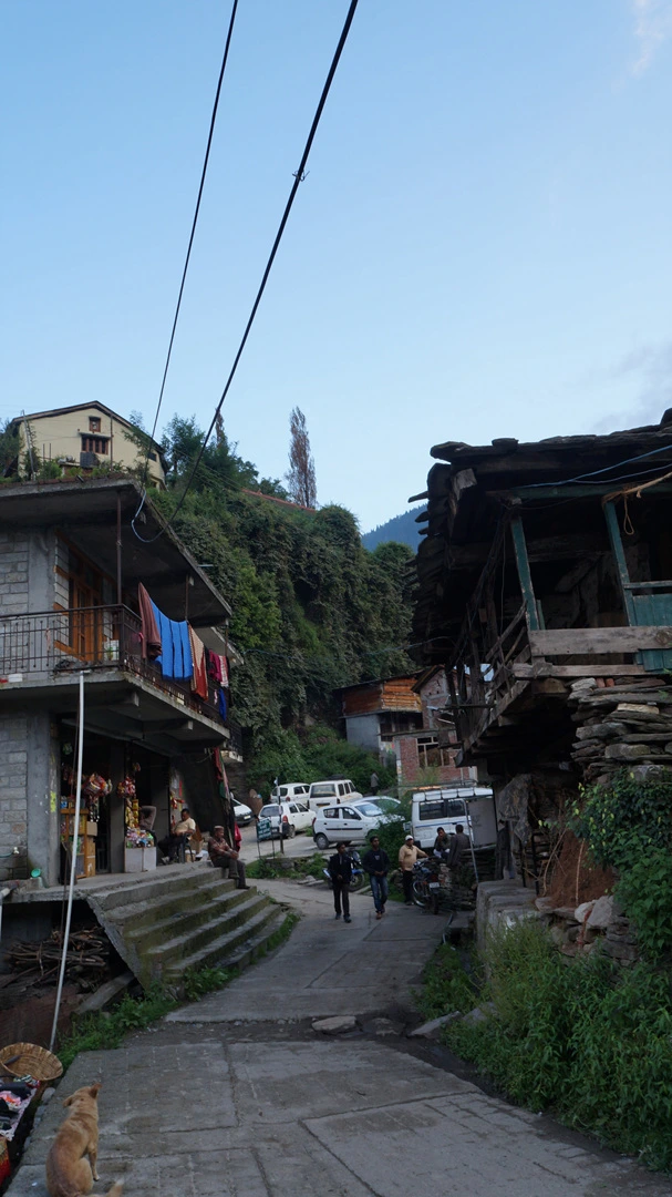 DSC01655%A4%D1.jpg?type=w1