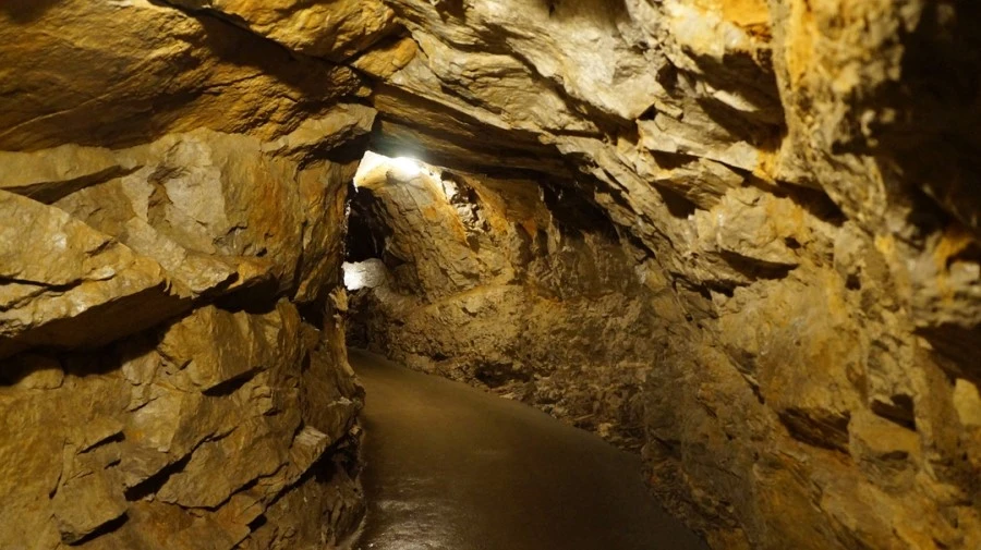 DSC06422.jpg?type=w1