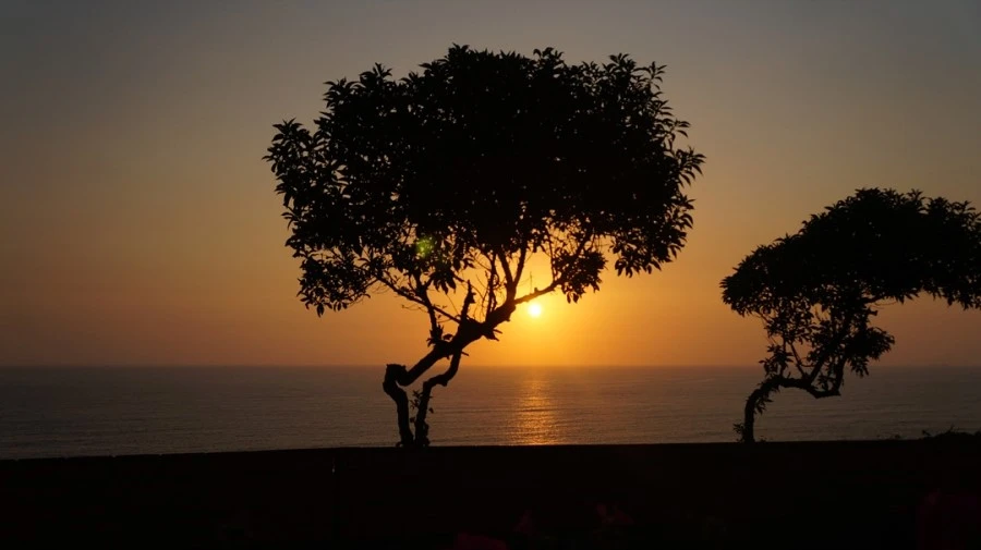 DSC00041%E3%85%A1.jpg?type=w1